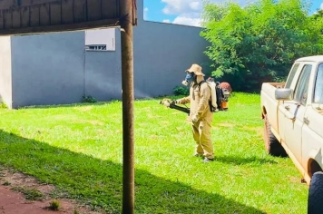 Aumento de casos de dengue e chikungunya acende alerta em Amambai