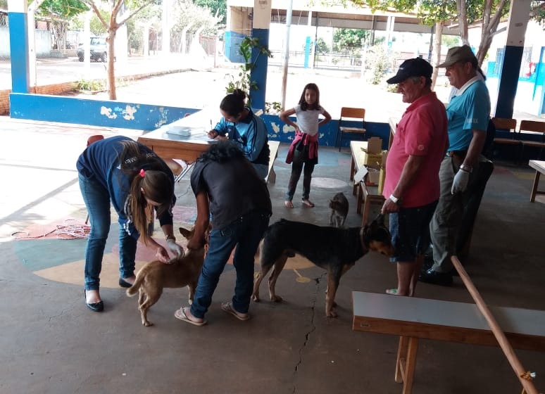 Mais de 9 mil animais foram imunizados na Campanha de Vacinação Antirrábica