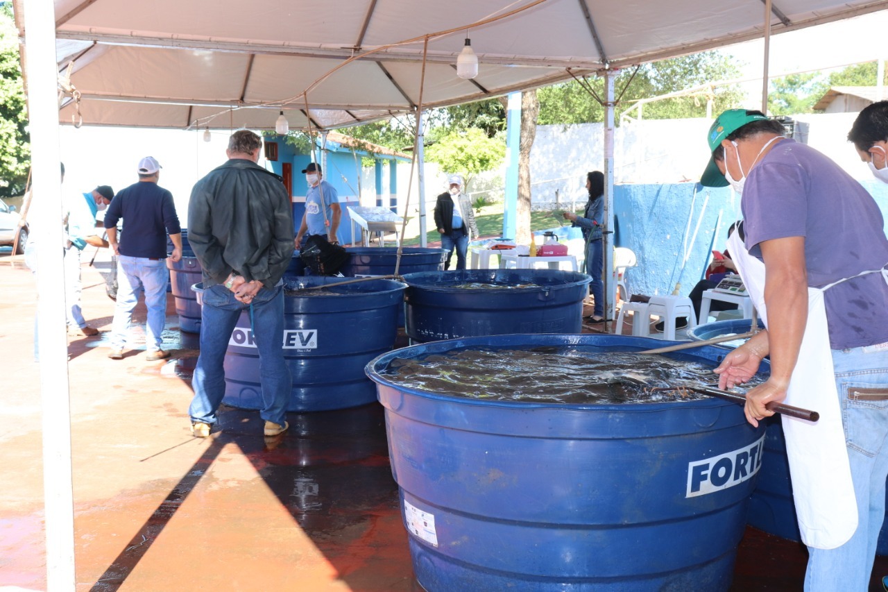 17ª edição da Feira do Peixe Vivo já está acontecendo em Amambai