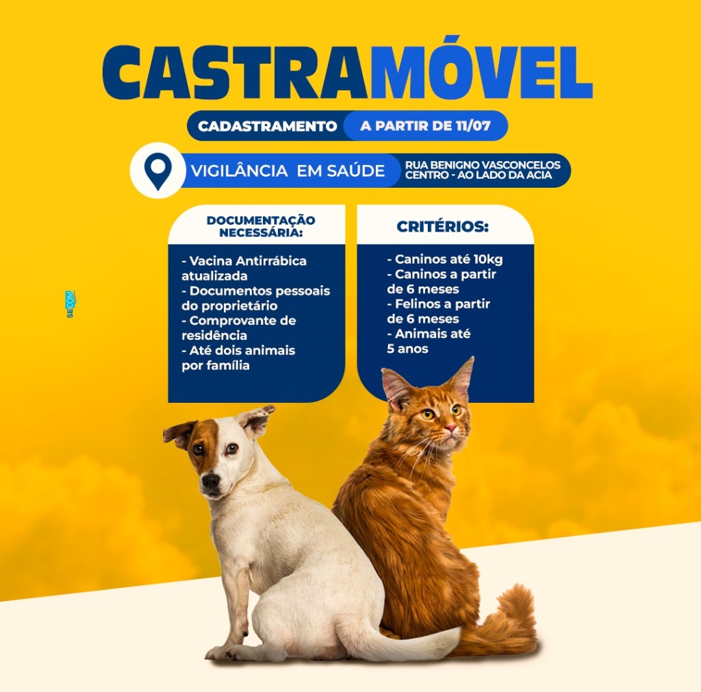 Vigilância em Saúde de Amambai iniciou cadastramento de caninos e felinos para castração nesta segunda-feira