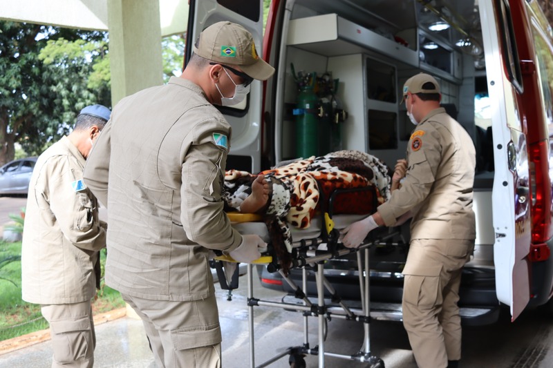 Transferida por avião dos Bombeiros, paciente vem de Campo Grande para realização de cirurgia de alta complexidade em Amambai