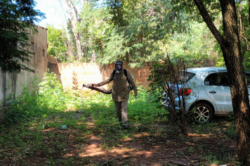 Prefeitura de Amambai intensifica combate à dengue e reforça alerta à população