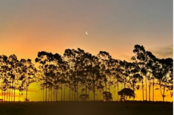 Corrida Rota Crepúsculo 2025 está com inscrições abertas em Amambai