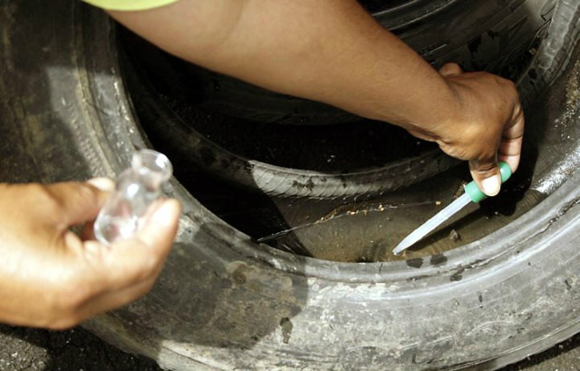 Força-tarefa para erradicar aedes aegypti chega a Vila Limeira nesta quarta-feira