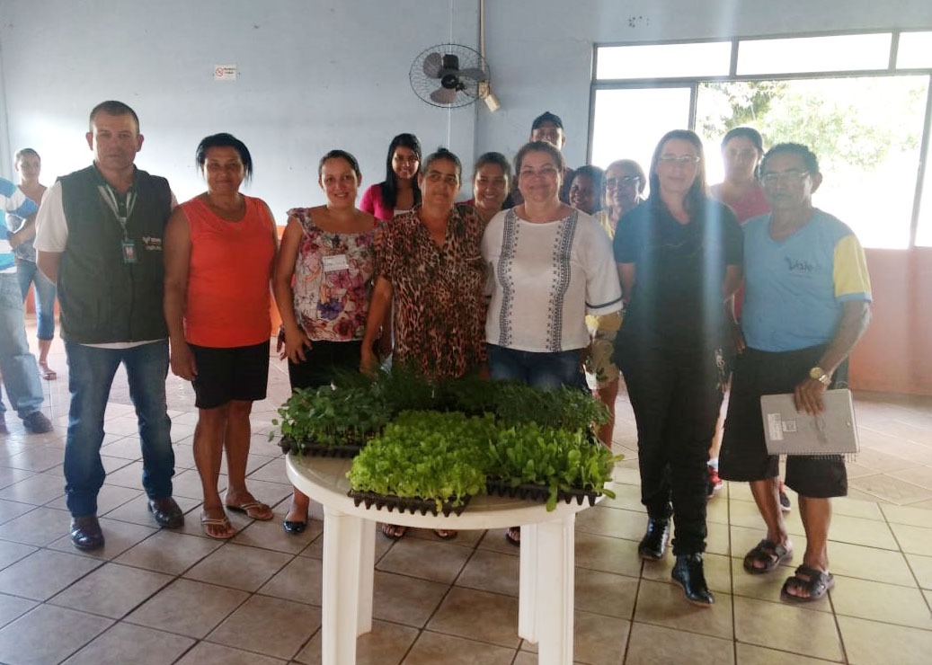 Senar MS promove curso de hortaliças folhosas em Amambai