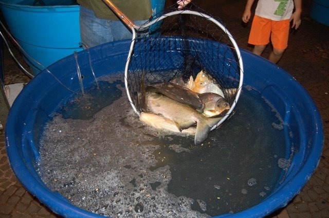 17ª Feira do Peixe Vivo acontece nestas quinta e sexta-feira com restrições