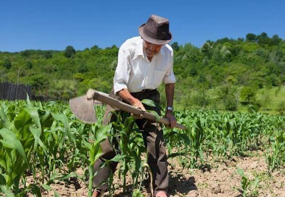 Secretaria de Agricultura e Pecuária realiza reunião com produtores rurais do município