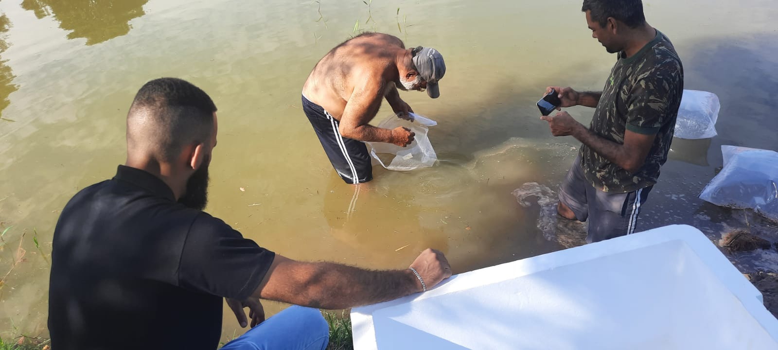 Secretaria Municipal de Agricultura e Pecuária de Amambai está realizando o projeto Ômega 3