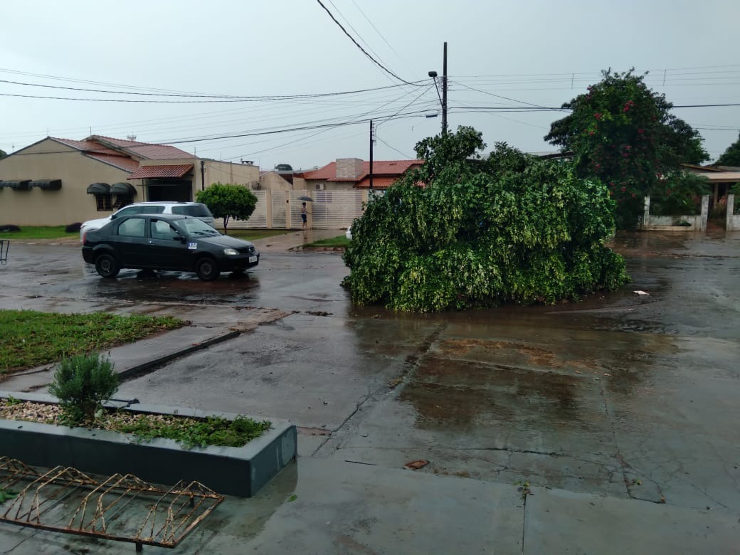 Após temporal causar estragos em Amambai, Prefeitura mobiliza equipes para prestar assistência e reparar danos