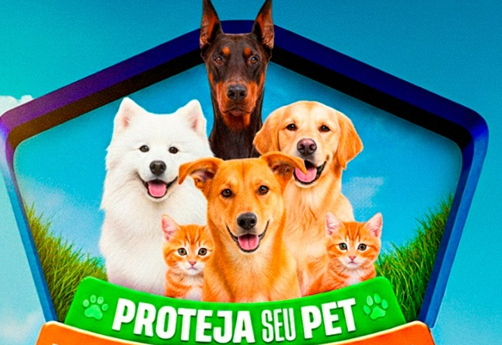 Amambai terá Dia D de Vacinação Antirrábica em 20 de setembro