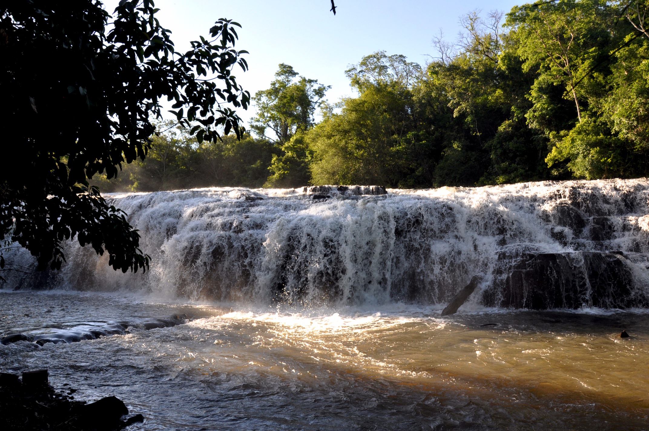 Amambai está entre as cidades que mais recuperam floresta