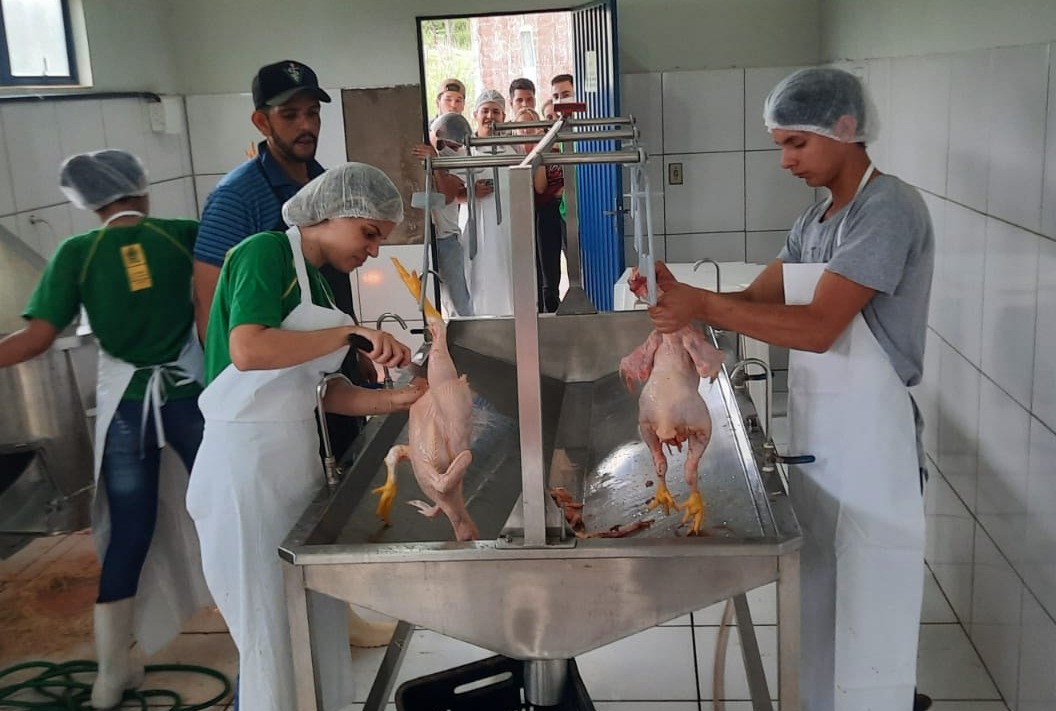 Secretaria de Agricultura e Pecuária oferecem oficina técnica de abate e inspeção de aves para alunos da Escola Agrícola