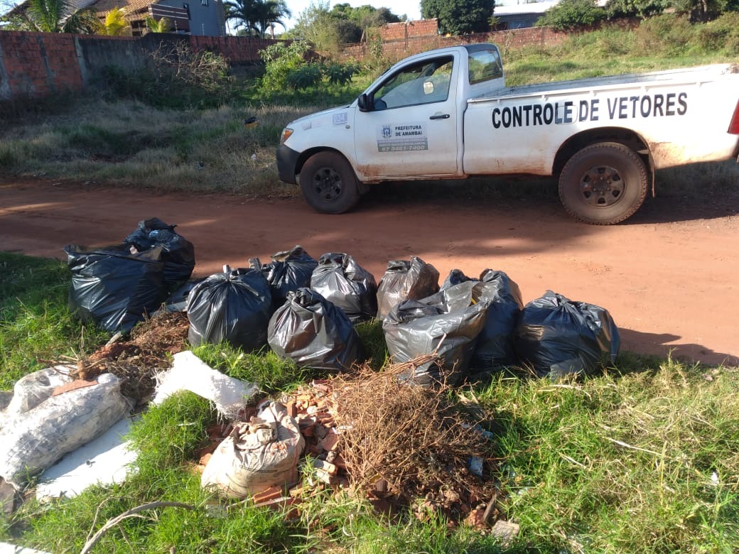 Vigilância em Saúde de Amambai visitou 1.137 imóveis no Dia D de Conscientização e Combate à Dengue