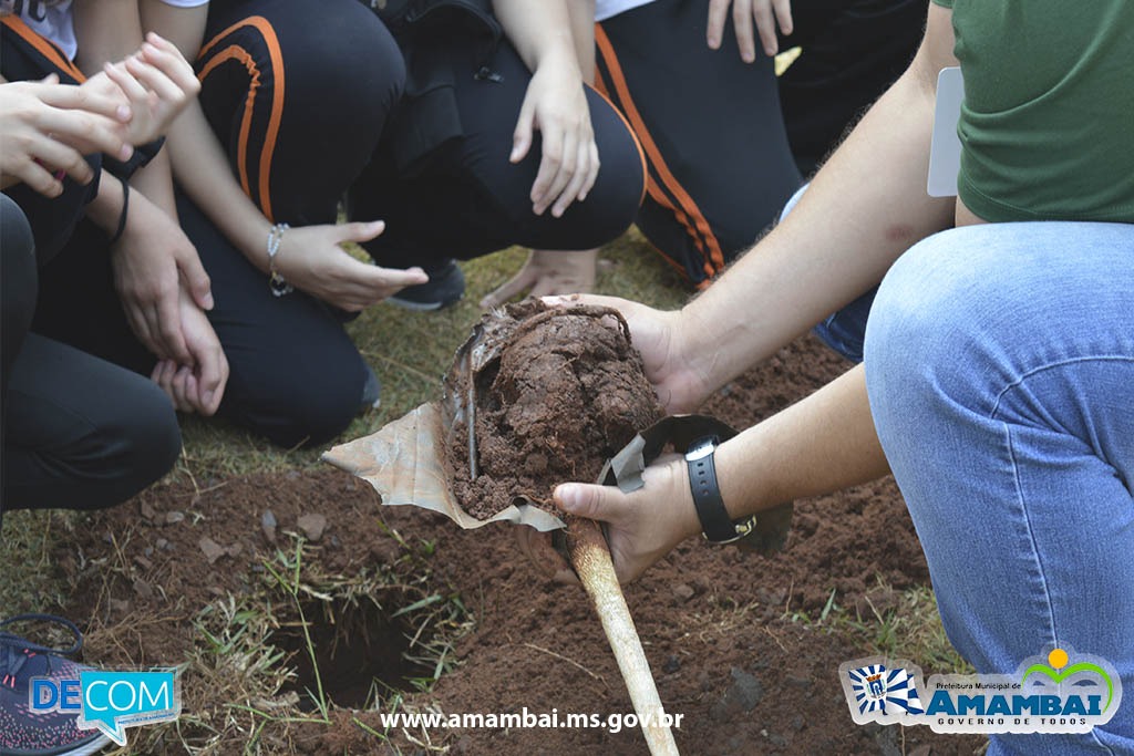 SEMAI realizou plantio de ipês em comemoração ao Dia da Árvore