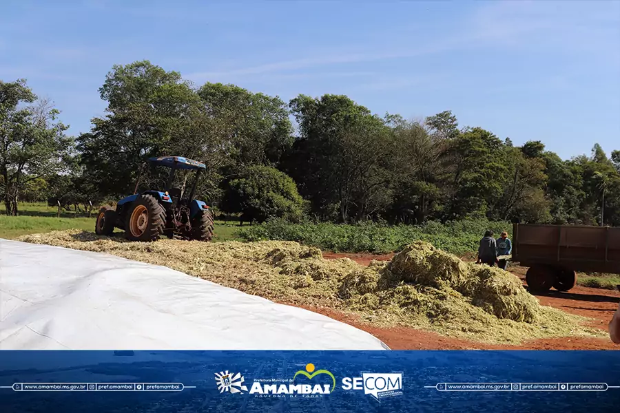 Por meio da SEAGRI, Prefeitura de Amambai apoia pequenos produtores na produção de silagem